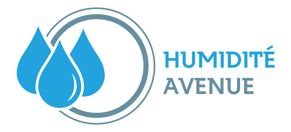 Humidité Avenue : la référence pour le traitement de l'humidité