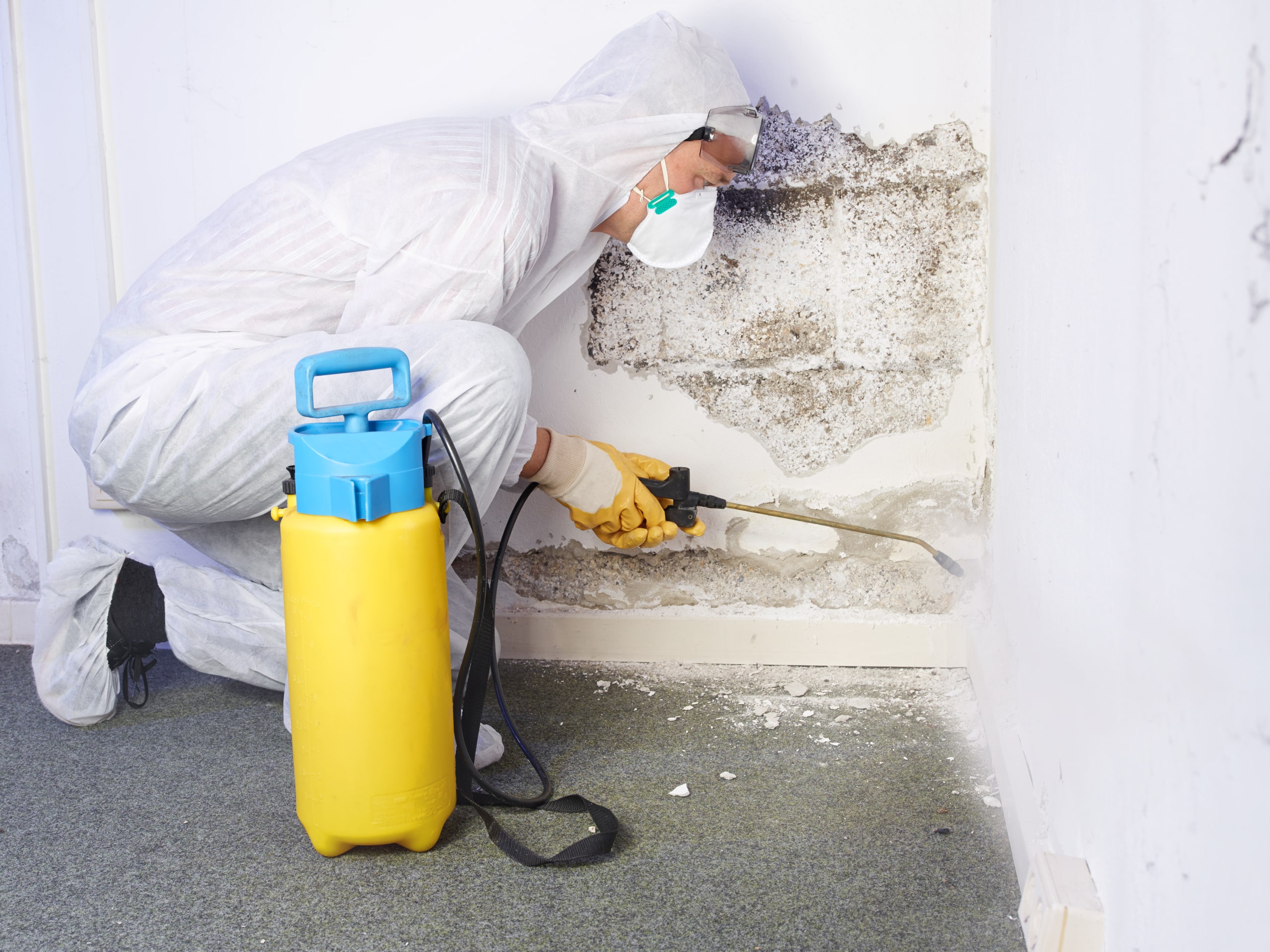 Drocolor - Utilisez une peinture anti-humidité pour prendre soin de vos  murs intérieurs et empêcher l'humidité d'entrer chez vous ! Préventive et  curative, la peinture anti-humidité proposée par Drocolor, est très pratique