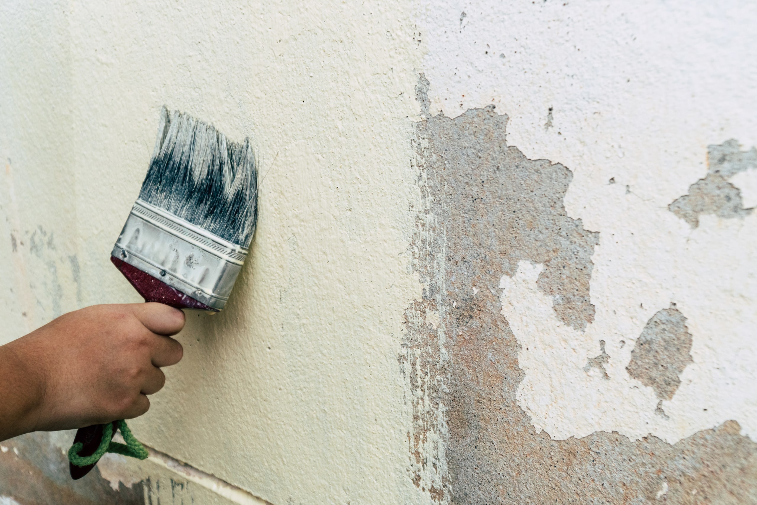 Pourquoi opter pour une peinture anti-humidité sur les murs extérieurs ?