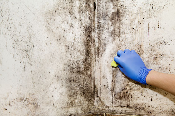 Humidité mur : comment traiter le problème ?