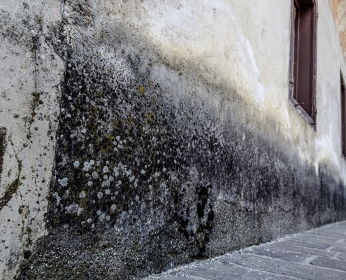 Signification des traces d'humidité sur les murs extérieurs