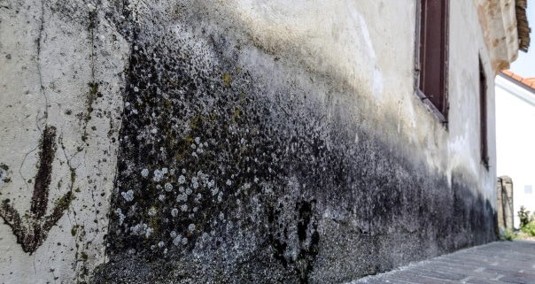 Signification des traces d'humidité sur les murs extérieurs