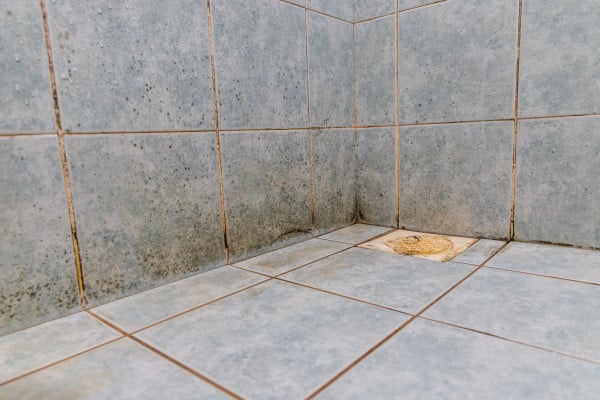 Quelles sont les causes des moisissures dans la salle de bain et
