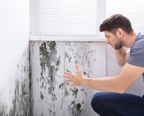 Conseils sur le traitement d'une remontée capillaire dans les murs